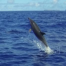 a large body of water