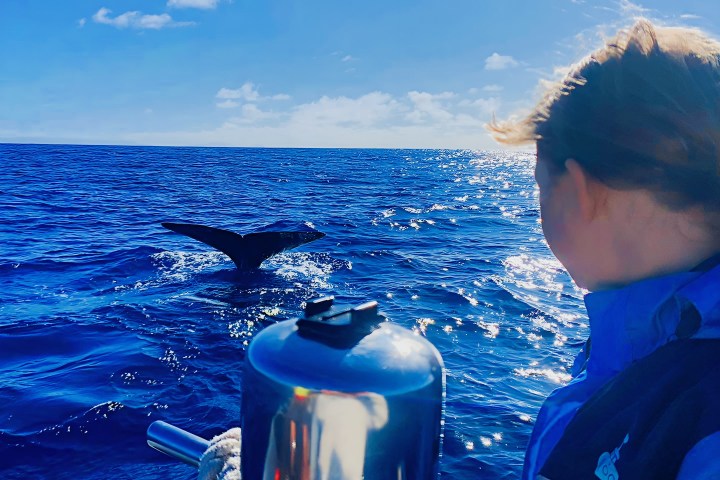 a man standing next to a body of water