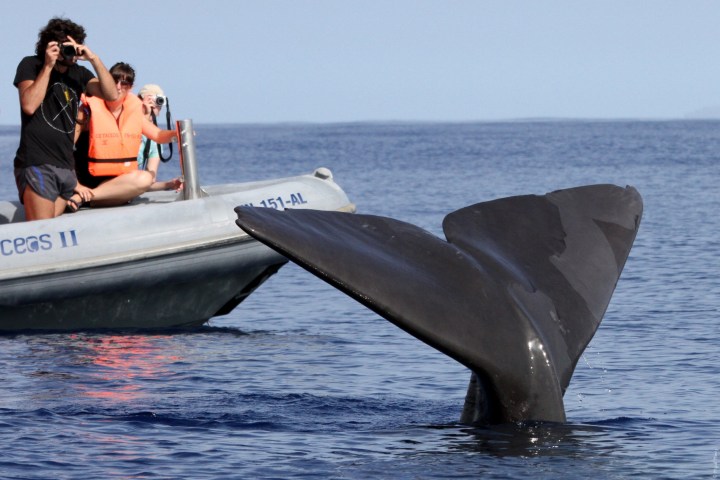a man riding on the back of a boat in the water