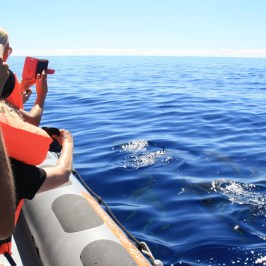 a person standing next to a body of water