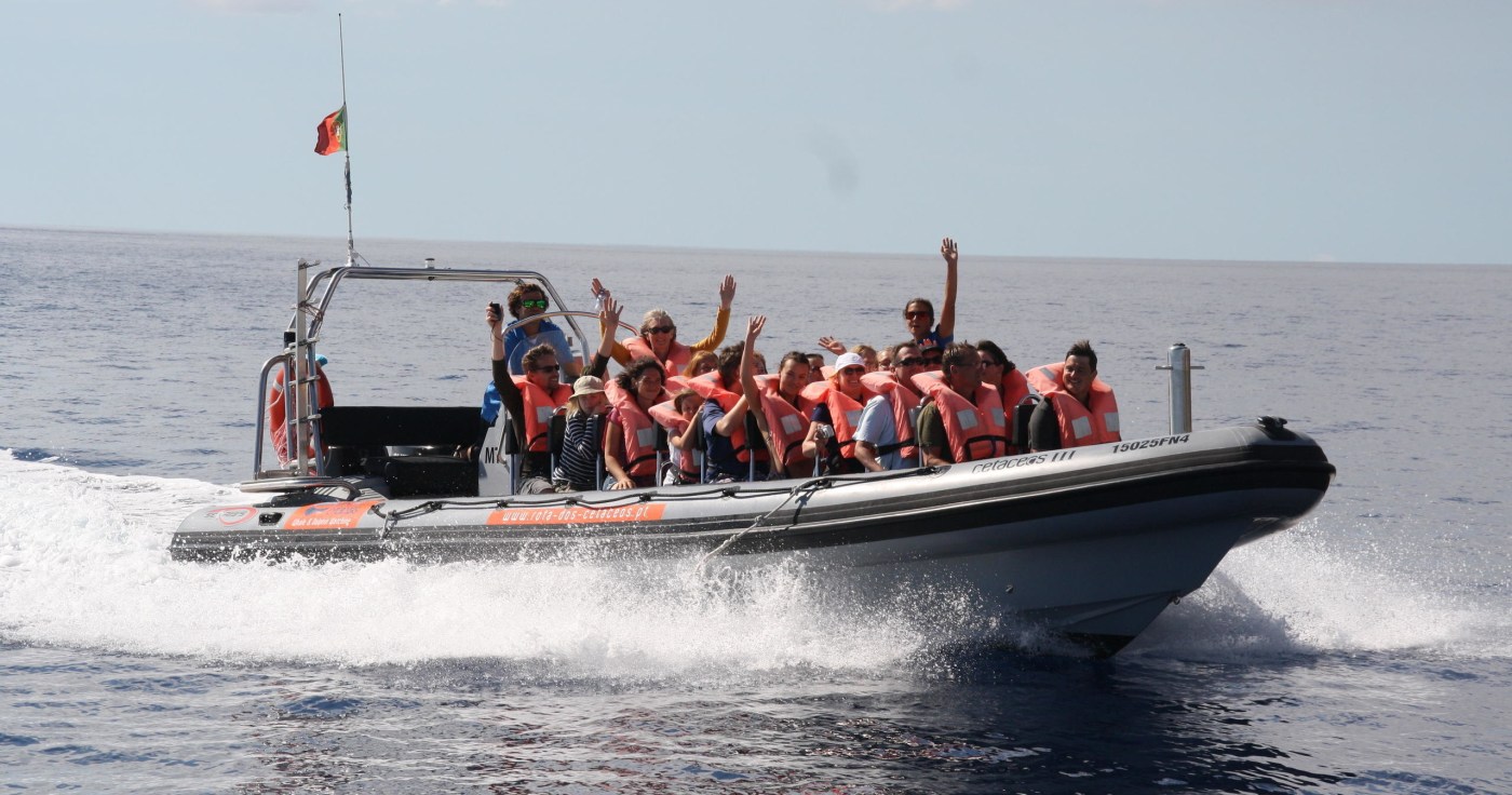 Whale & Dolphin Watching | Rota dos Cetáceos | Funchal Madeira