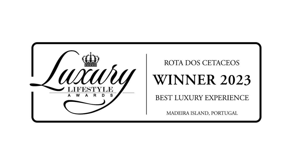 winner-white-horizontal@4x text, whiteboard